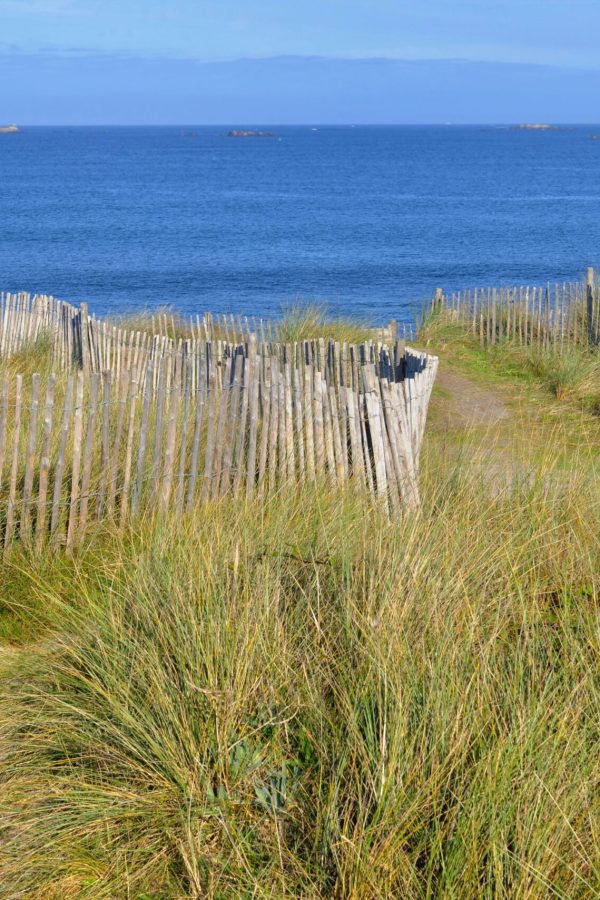 footpath-in-the-grassy-dunes-bordered-by-a-wooden-fence-by-the-sea-in-finistere-in-brittany